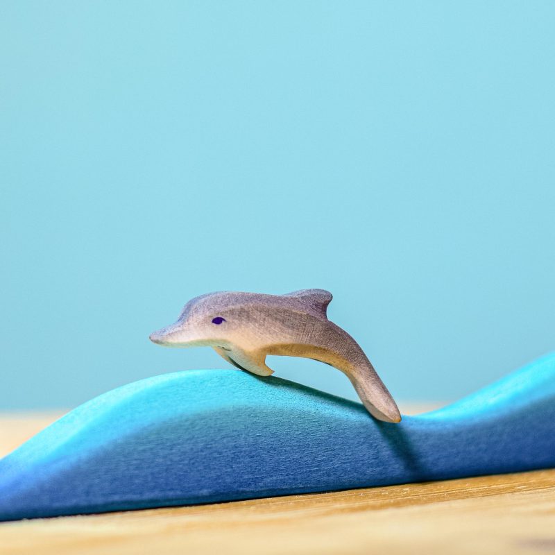 Dolphin Baby