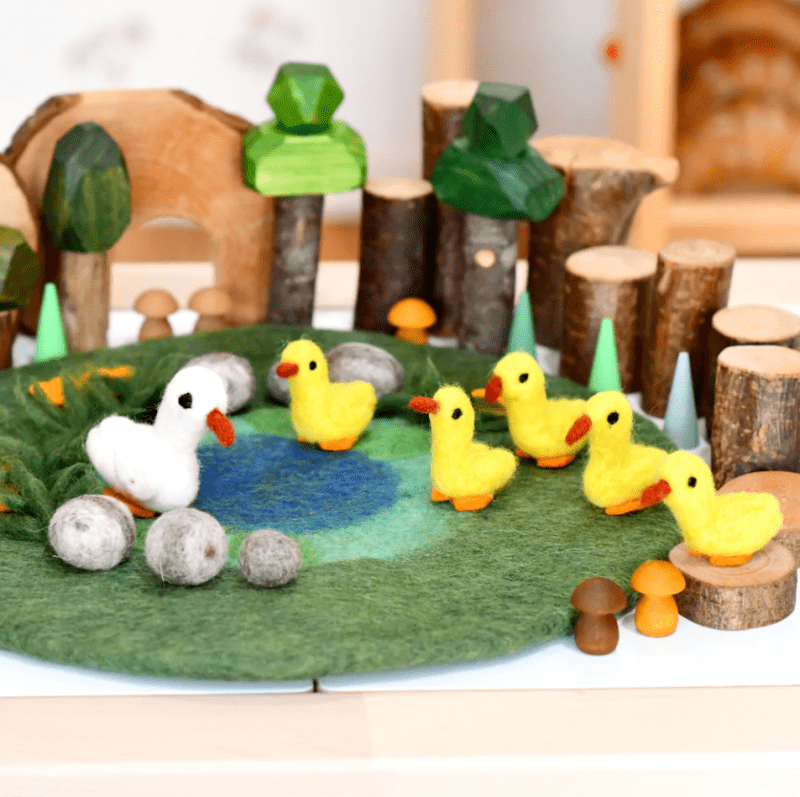 DuckPondwith6DucksPlayMatPlayscape