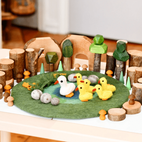 DuckPondwith6DucksPlayMatPlayscape3