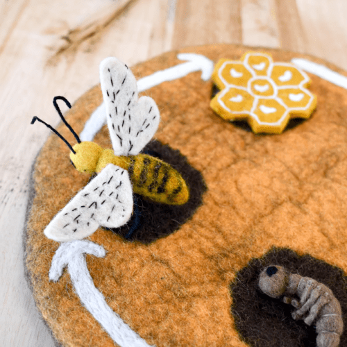 FeltLifecycleofaHoneyBee4