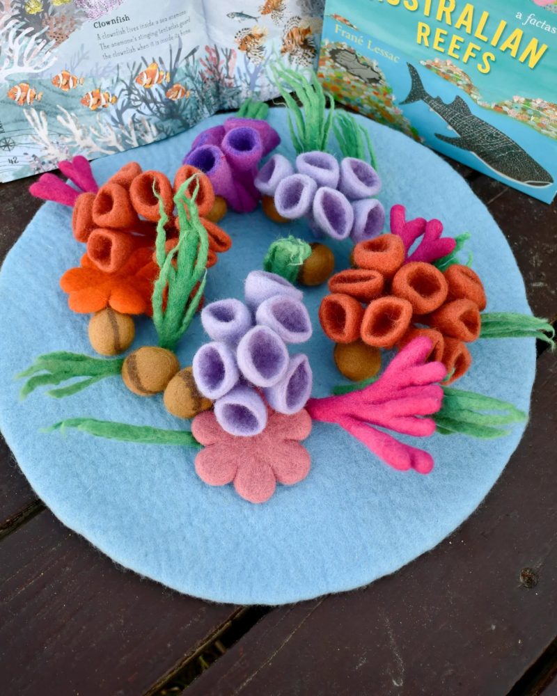 Felt Coral Reef Playscape2