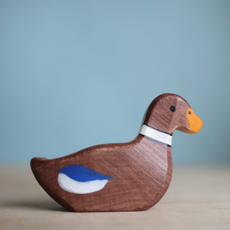 HolztigerDuck Swimming