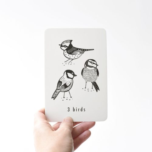 Nature Number learning cards birds web