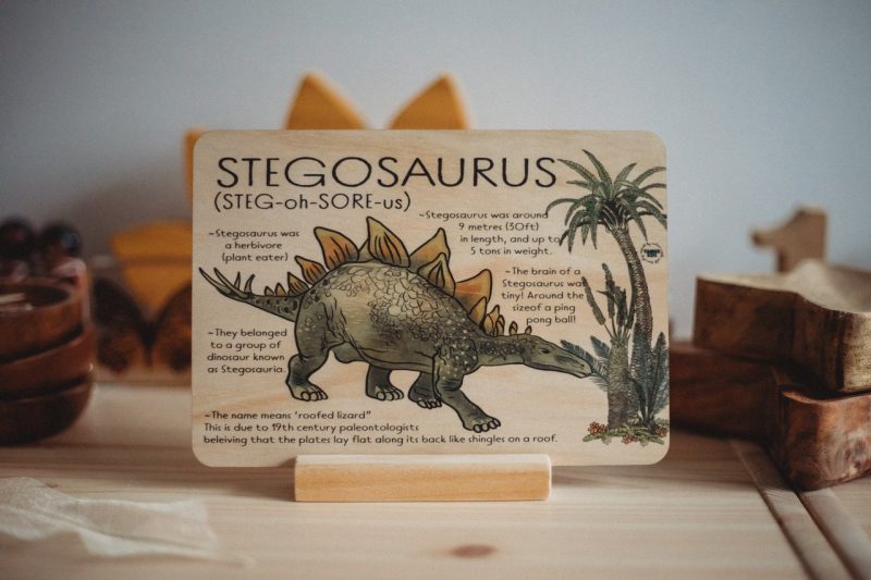 StegosaurusDinoFactTile