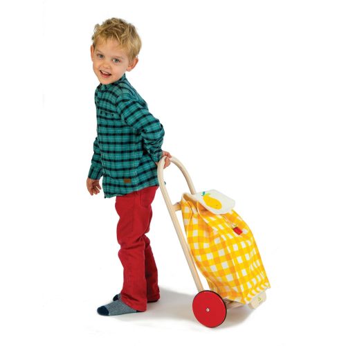 TL8254 pull along shopping trolley 2