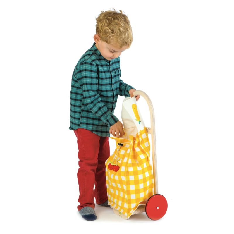 TL8254 pull along shopping trolley 3