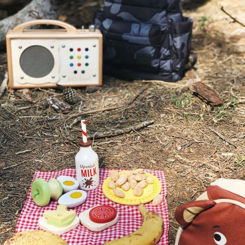 TL8276 lite bear s picnic 3