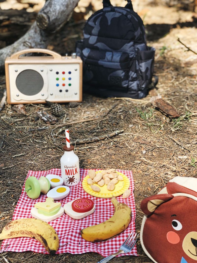 TL8276 lite bear s picnic 3