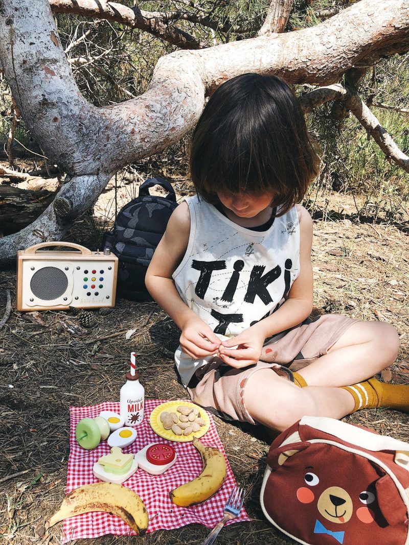 TL8276 lite bear s picnic 4