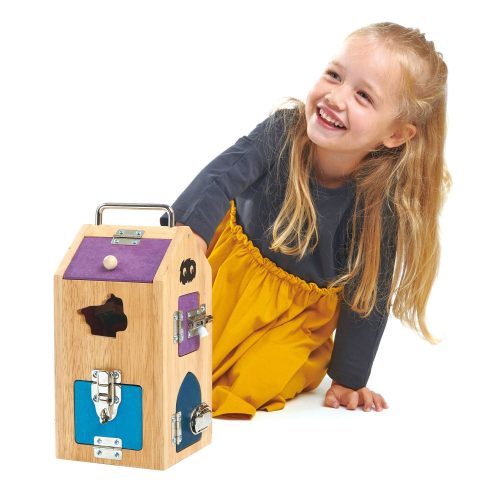 TL8341 monster lock box 4