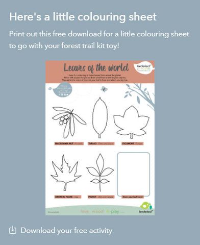 Forest Trail Leaves Printable