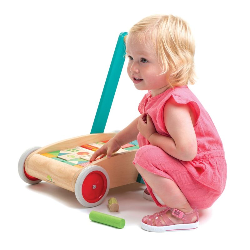 TL8464 baby block walker 4