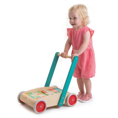 TL8464 baby block walker 5