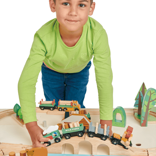 TL8702 wild pines train set 11