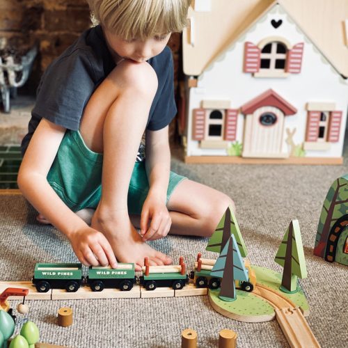 TL8702 wild pines train set 12