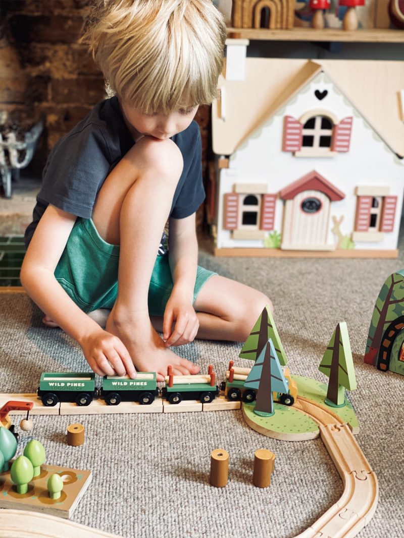 TL8702 wild pines train set 12