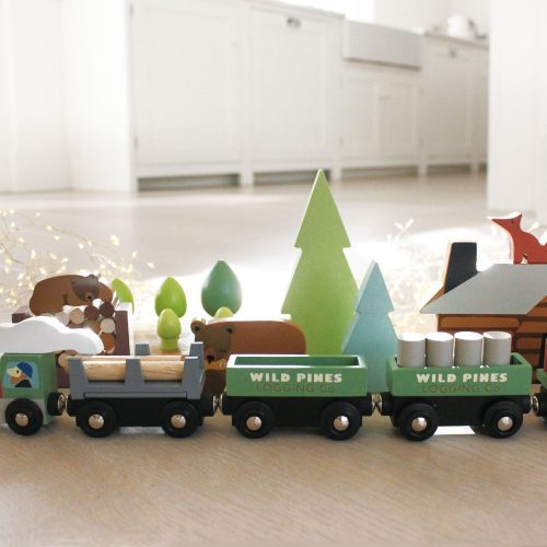 TL8702 wild pines train set 14