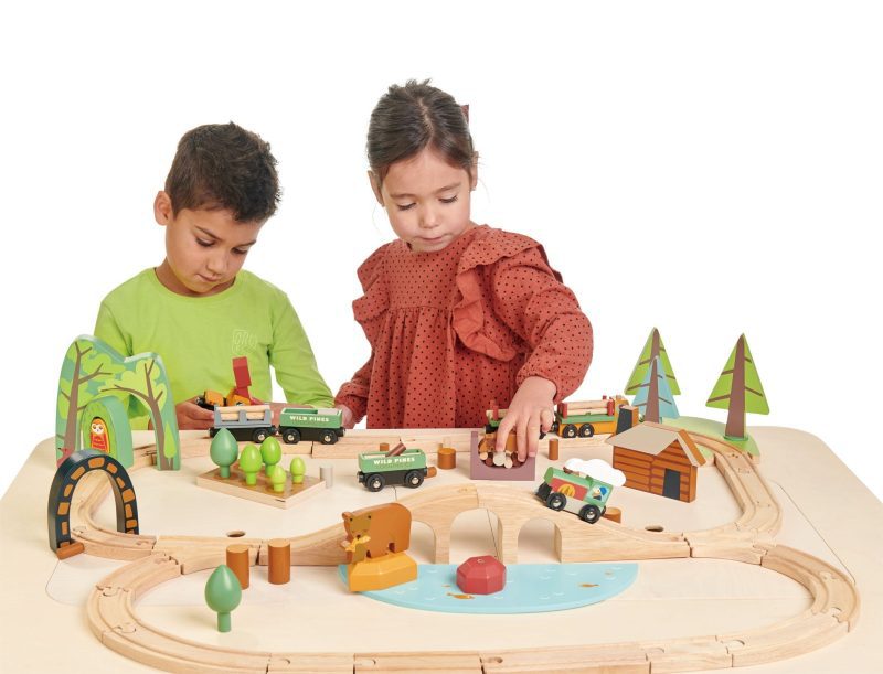 TL8702 wild pines train set 3