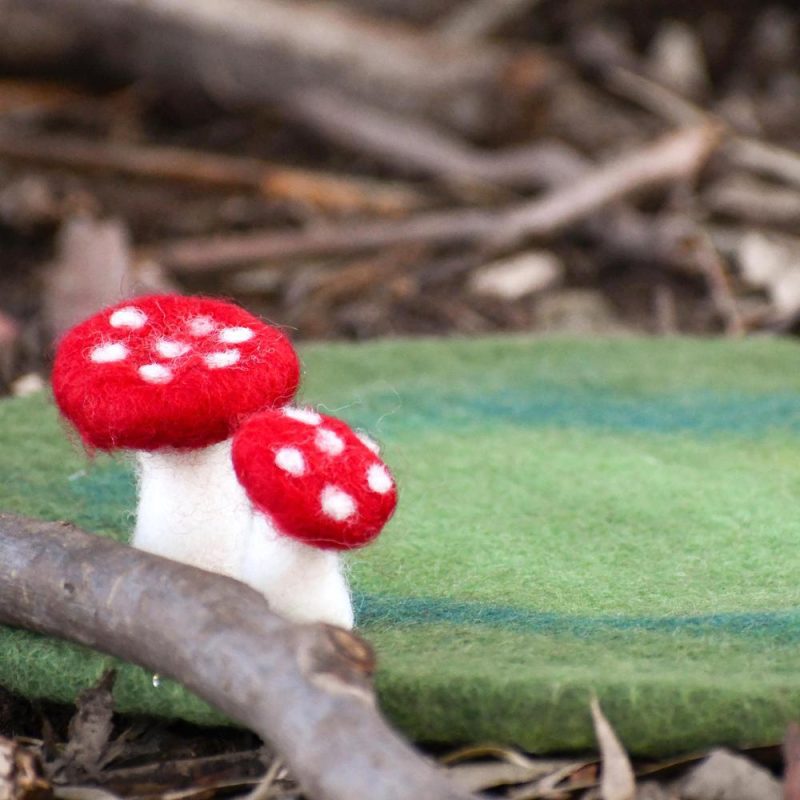 ToadstoolMushroomPlayMatPlayscape5