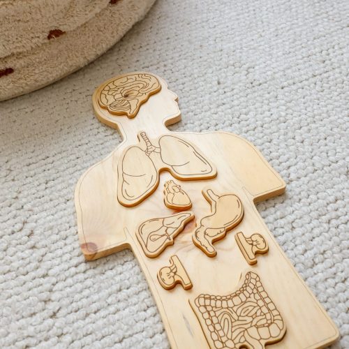 WoodenAnatomyPuzzle2