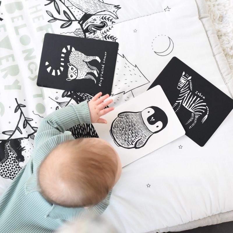 black and white animal art cards for baby development 1 a50465bc 9617 4729 95cc be8b6cf1f39e