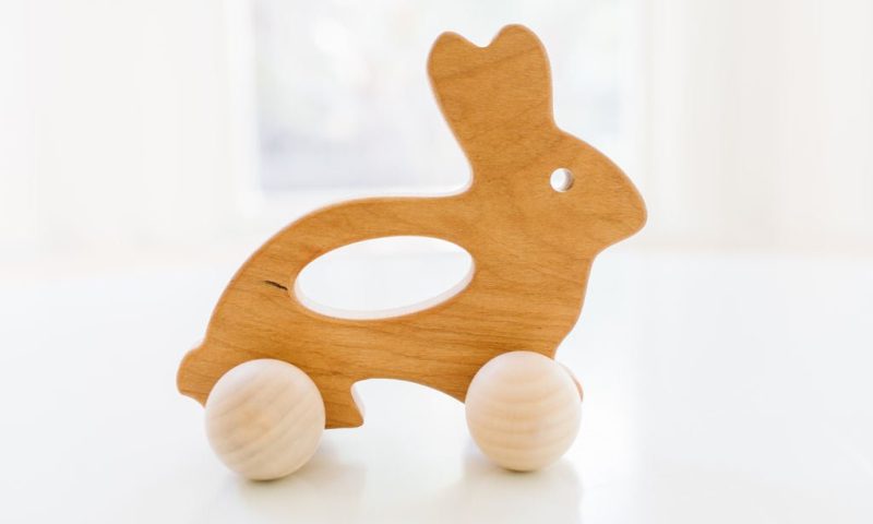 bunny push toy 524285