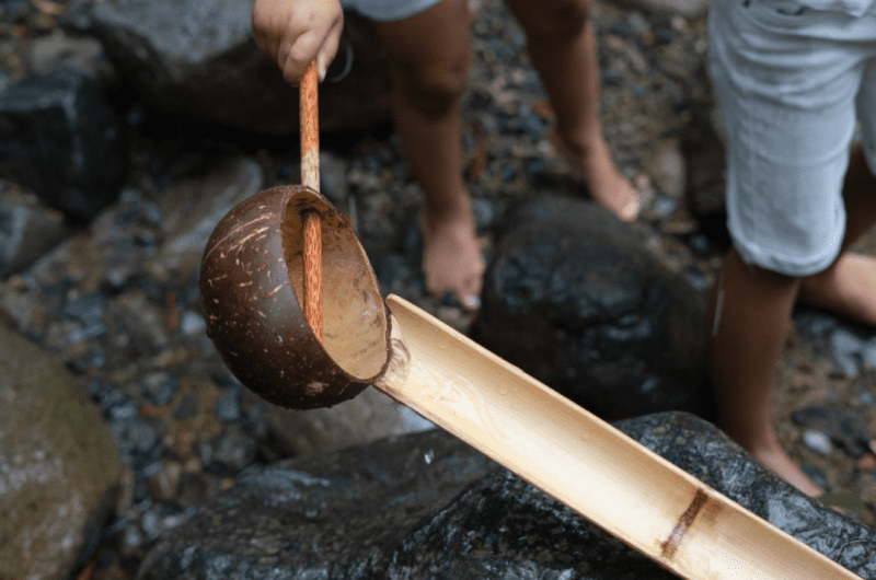 coconutshellwaterscoop