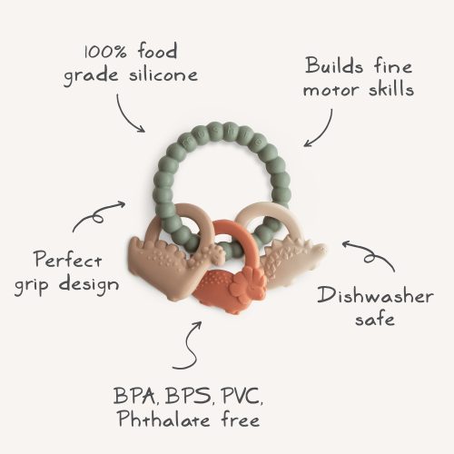 dinoring Teether infographic 2