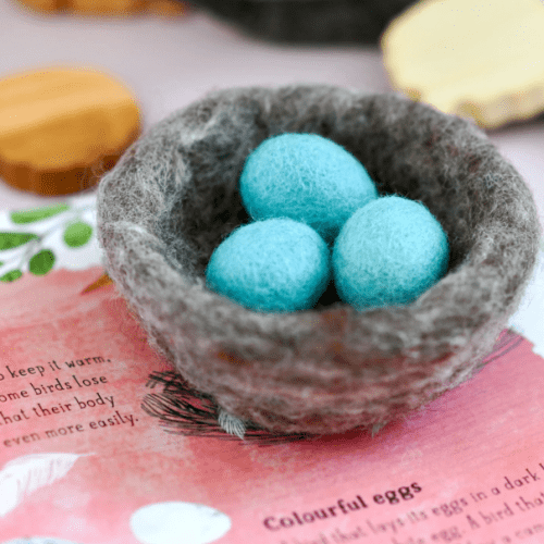 feltednestwithrobin segg4