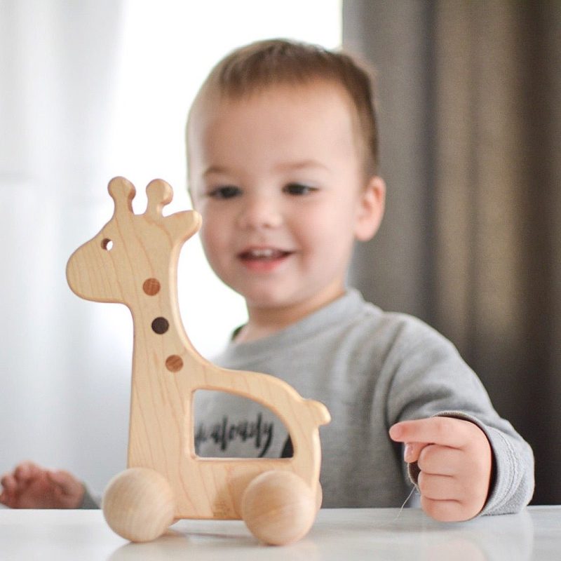 giraffe push toy 242193