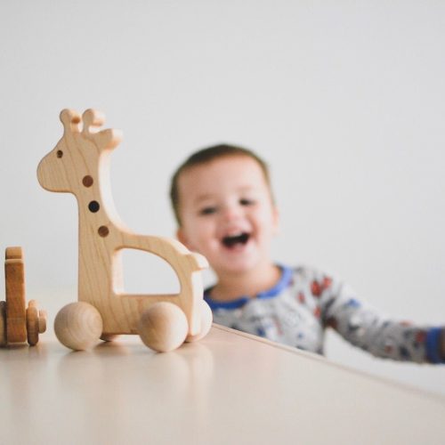 giraffe push toy 903323