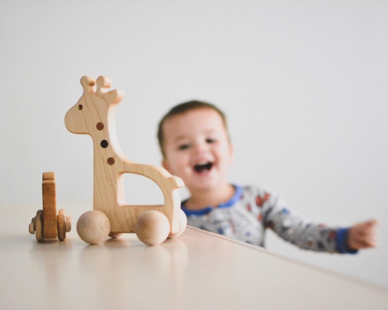 giraffe push toy 903323