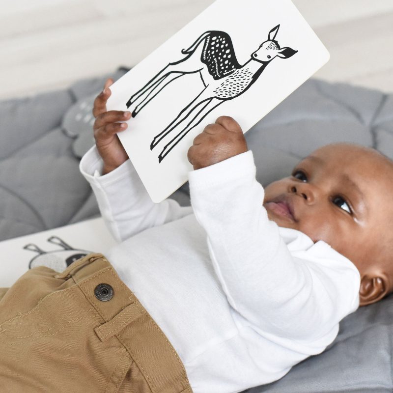 high contrast black white animal art cards for baby 08f3bf7b 0a18 4db9 9e3f 3bb6f0879f7e