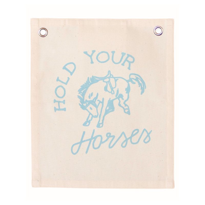 holdyourhorsesbanner teal