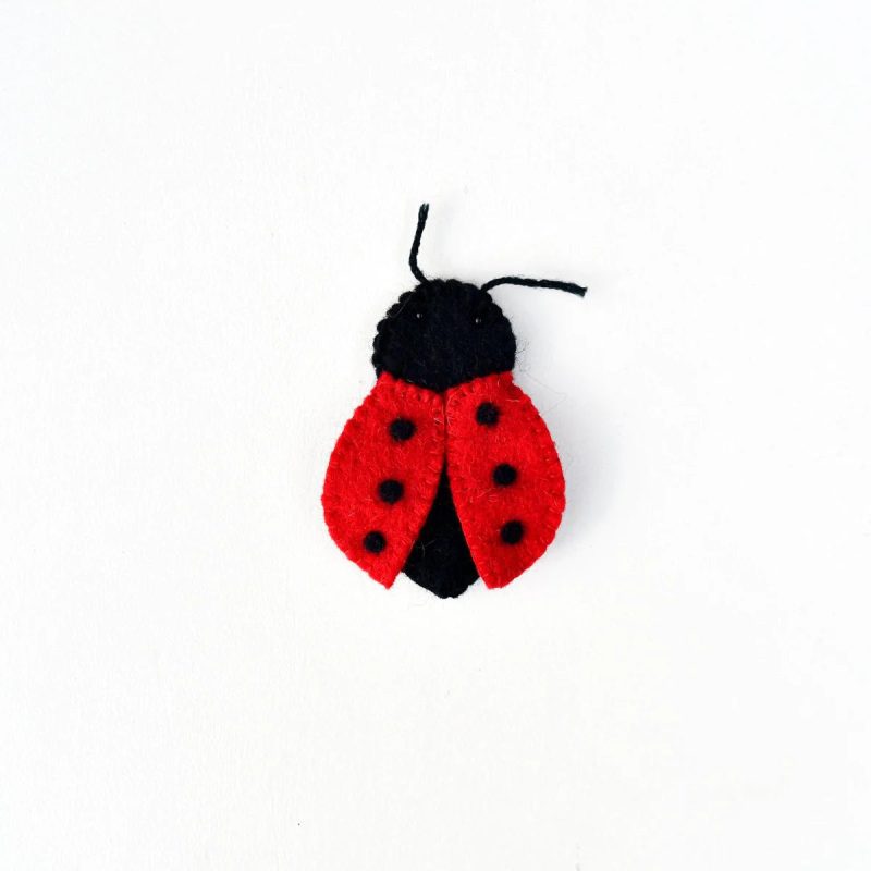 ladybug 1