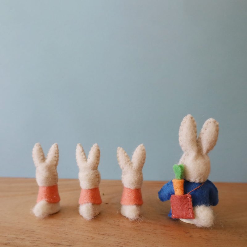 peterrabbitgnomes