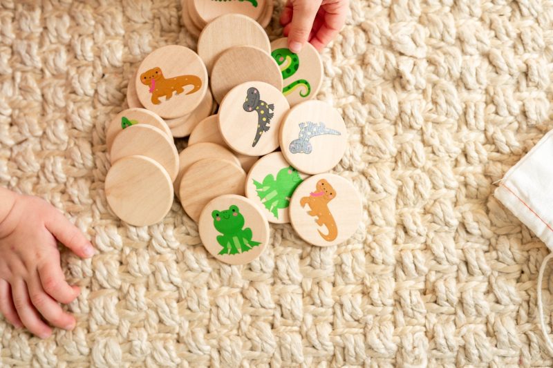 reptiles matching tiles by bannor toys 473688