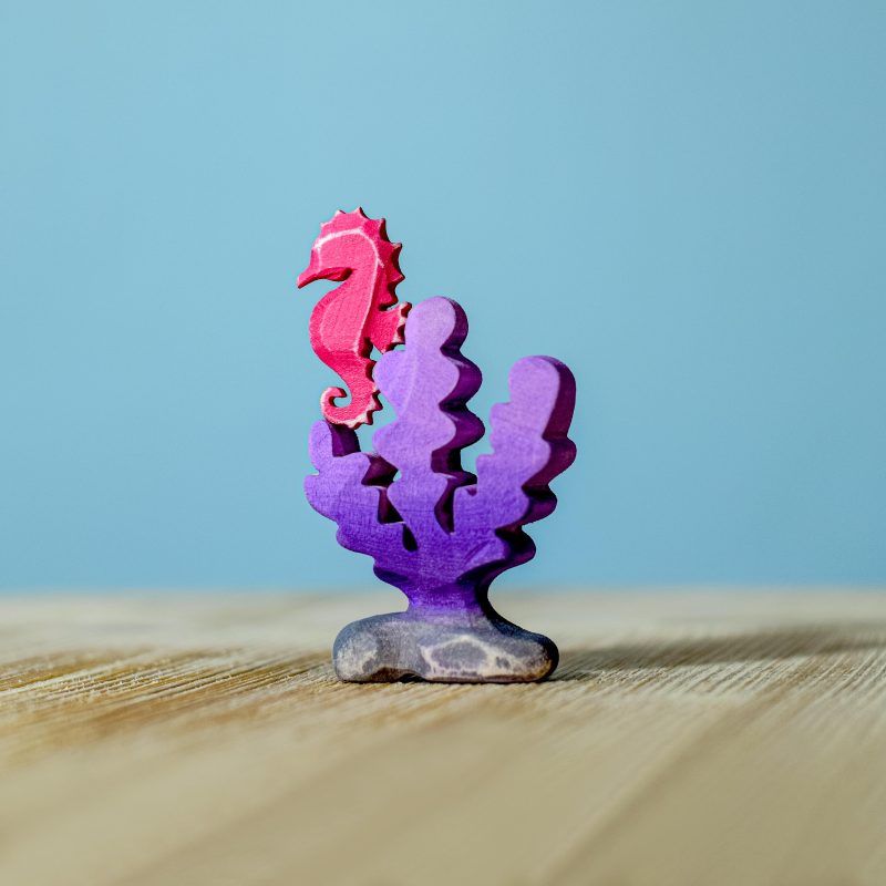 seahorse4