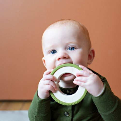 silicone wrapped teether 476422