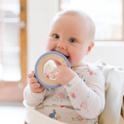 silicone wrapped teether 570334