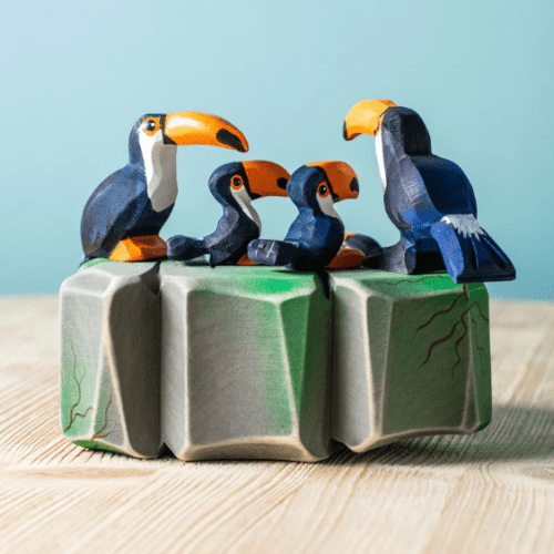 toucanfamily3