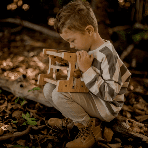 woodenmicroscope3