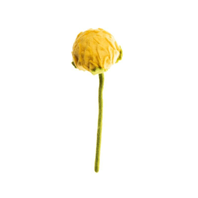 yellowallium